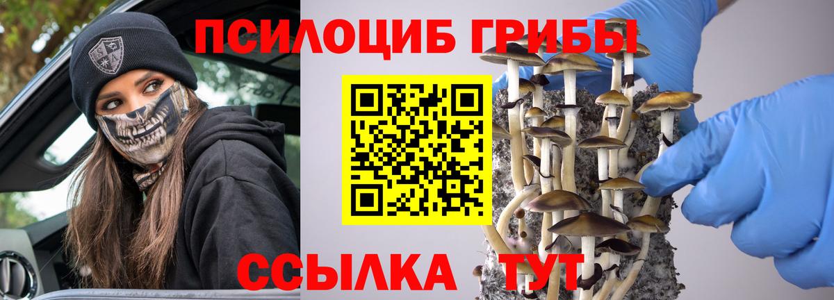 Галлюциногенные грибы мицелий  где можно купить   Чапаевск  Вход с VPN  Псилоцибиновые грибы MAGIC MUSHROOMS 